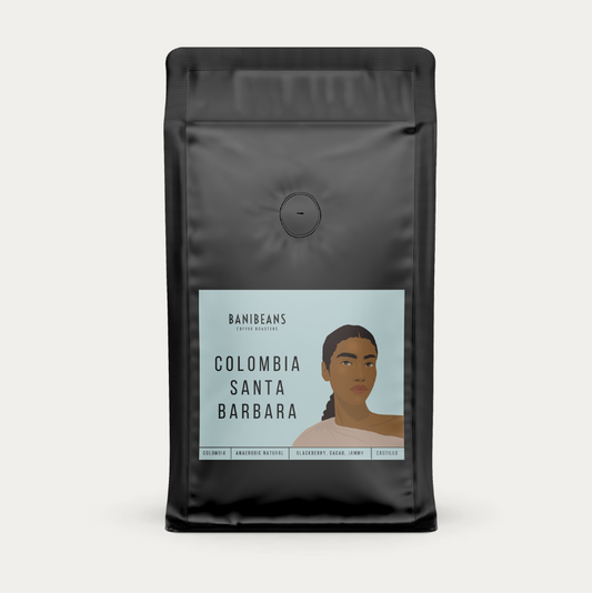 Colombia Santa Barbara - anaerobic natural castillo - FILTER